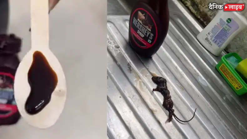 Dead Mouse in Chocolate Syrup