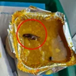 Cockroach in Vande Bharat Meal