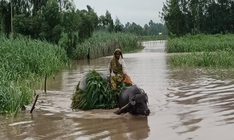 UP Floods