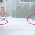 Gujarat Floods