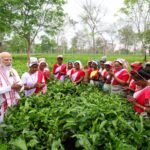 PM Modi in Assam